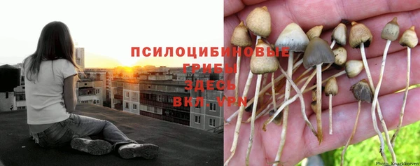 бутират Сафоново