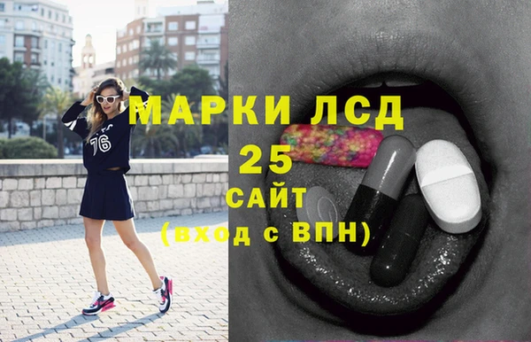 гашик Сатка
